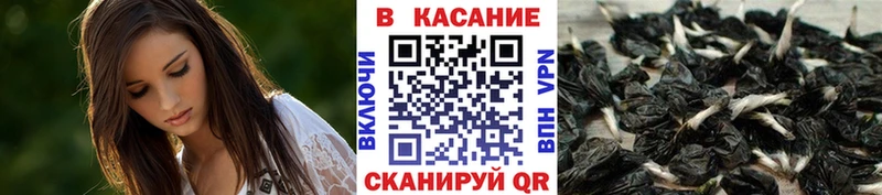 Купить наркотики сайты Тулун Кокаин  МАРИХУАНА  СК  Амфетамин  Меф  Гашиш 
