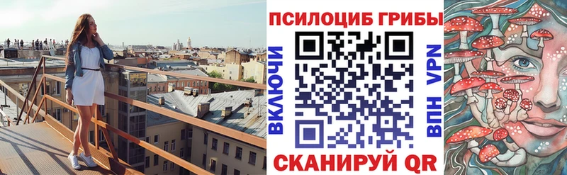 Псилоцибиновые грибы Psilocybine cubensis  Тулун 